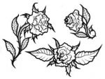 TATTOO DESIGNS 990