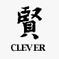 cleversamp