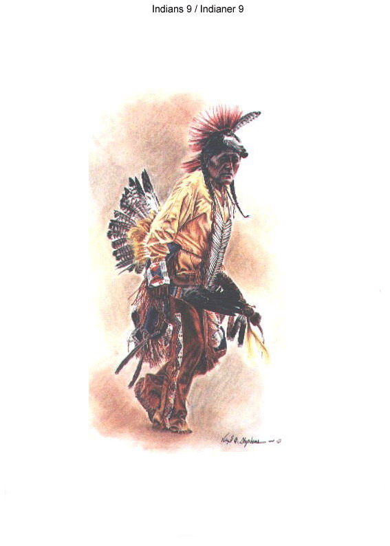 INDIANER 5