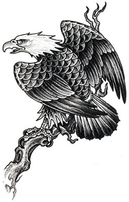 eagle