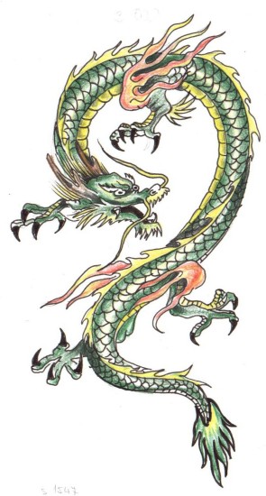 dragon 6