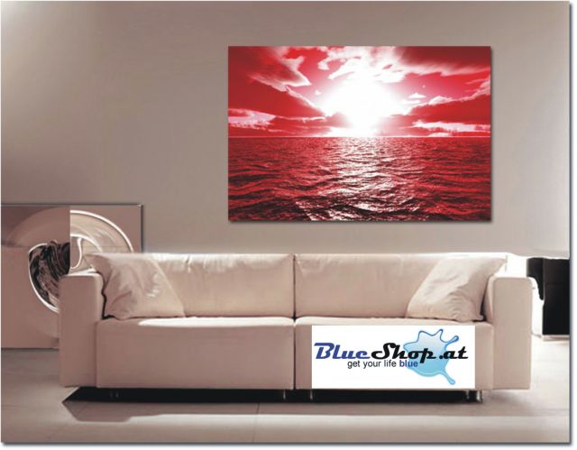 blueshop-at-red-shore.jpg