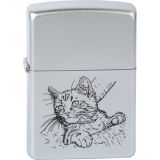 BEAUTY CAT 220.014 31,00 €.jpg