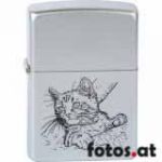 BEAUTY CAT 220.014 31,00 €.jpg