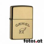 Camel mit Kamel – Brass high polished  150.006.jpg